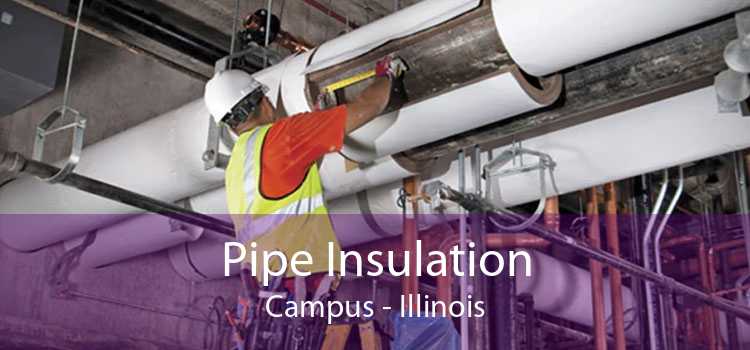 Pipe Insulation Campus - Illinois