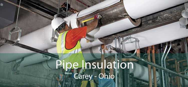 Pipe Insulation Carey - Ohio