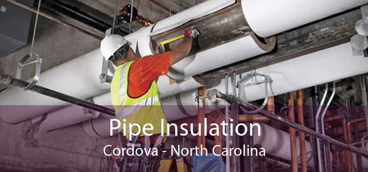 Pipe Insulation Cordova - North Carolina