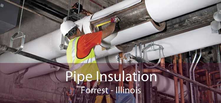 Pipe Insulation Forrest - Illinois