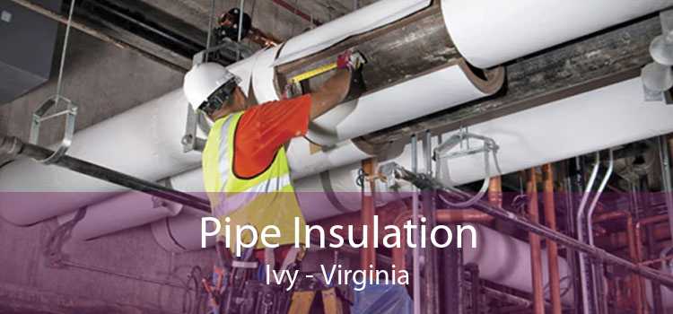 Pipe Insulation Ivy - Virginia