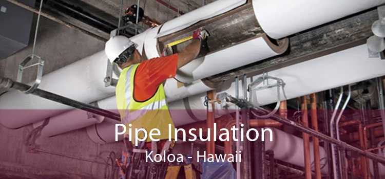 Pipe Insulation Koloa - Hawaii