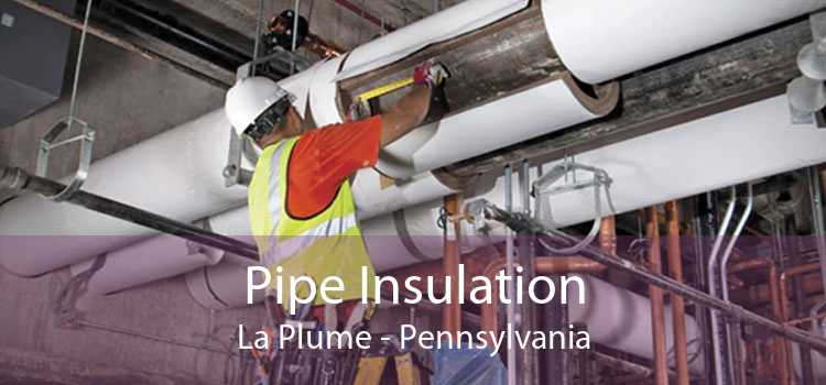 Pipe Insulation La Plume - Pennsylvania