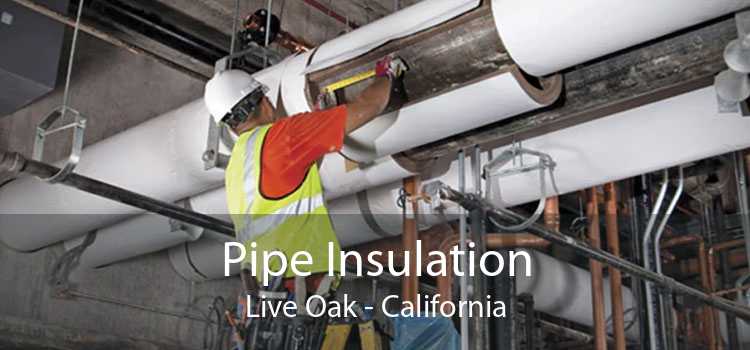 Pipe Insulation Live Oak - California
