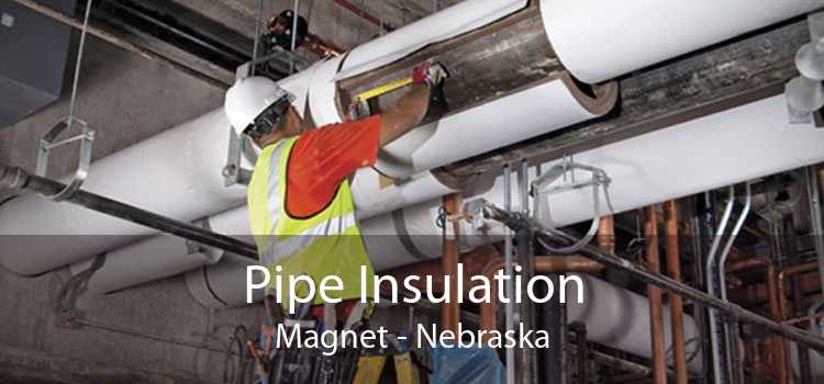 Pipe Insulation Magnet - Nebraska