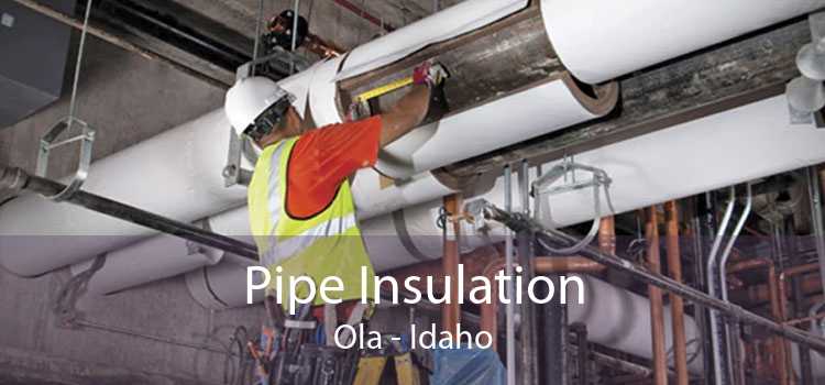 Pipe Insulation Ola - Idaho