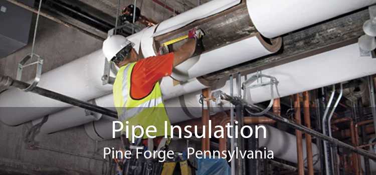 Pipe Insulation Pine Forge - Pennsylvania