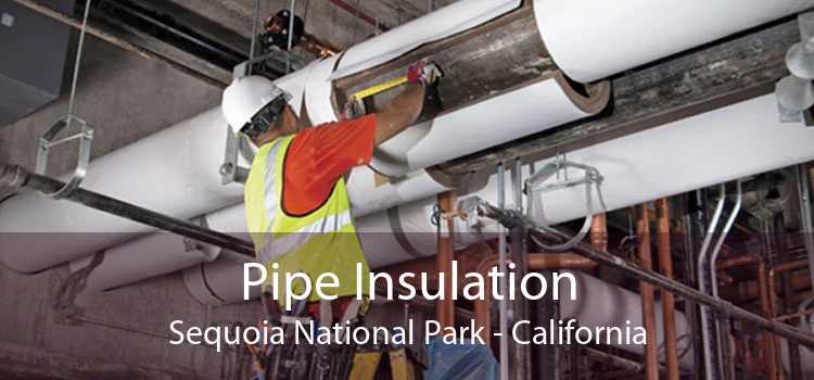 Pipe Insulation Sequoia National Park - California