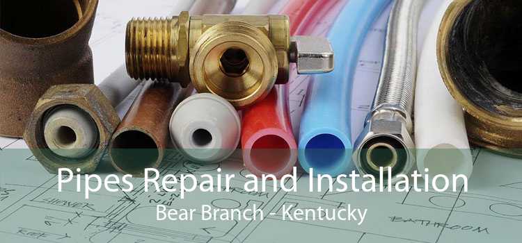 Pipes Repair and Installation Bear Branch - Kentucky