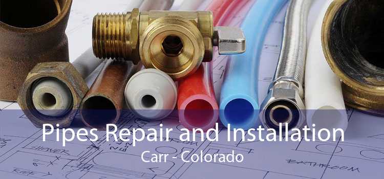 Pipes Repair and Installation Carr - Colorado