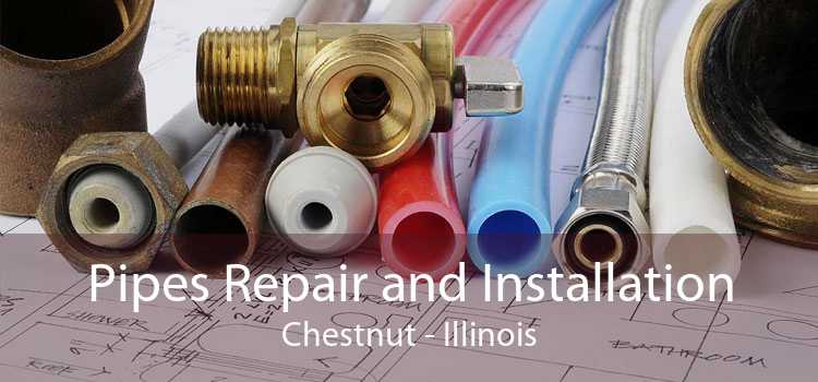 Pipes Repair and Installation Chestnut - Illinois