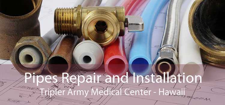 Pipes Repair and Installation Tripler Army Medical Center - Hawaii