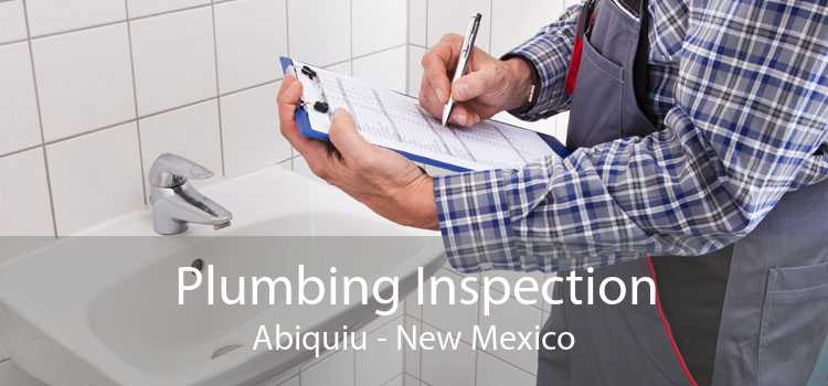 Plumbing Inspection Abiquiu - New Mexico