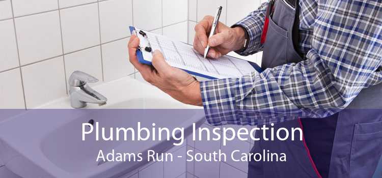 Plumbing Inspection Adams Run - South Carolina