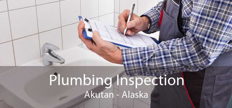 Plumbing Inspection Akutan - Alaska