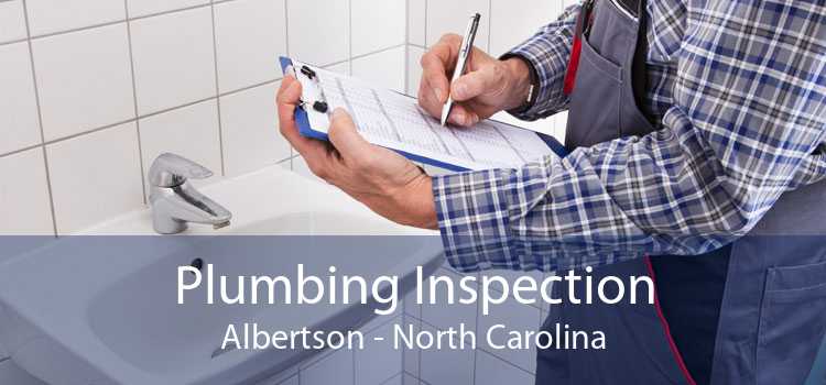 Plumbing Inspection Albertson - North Carolina