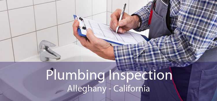 Plumbing Inspection Alleghany - California