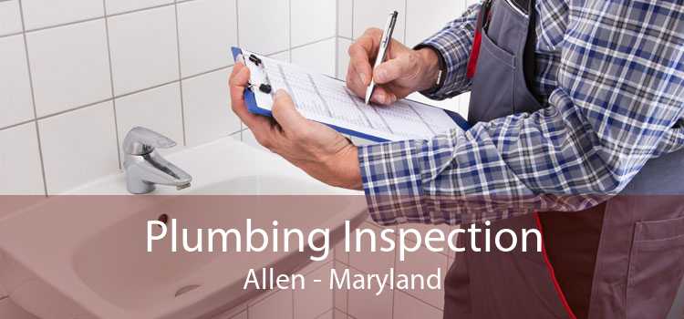 Plumbing Inspection Allen - Maryland
