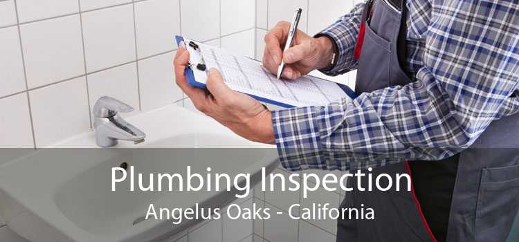 Plumbing Inspection Angelus Oaks - California