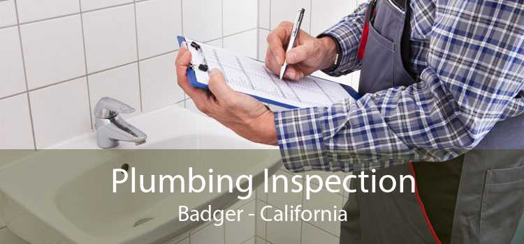 Plumbing Inspection Badger - California