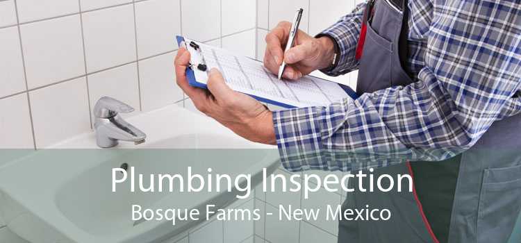 Plumbing Inspection Bosque Farms - New Mexico