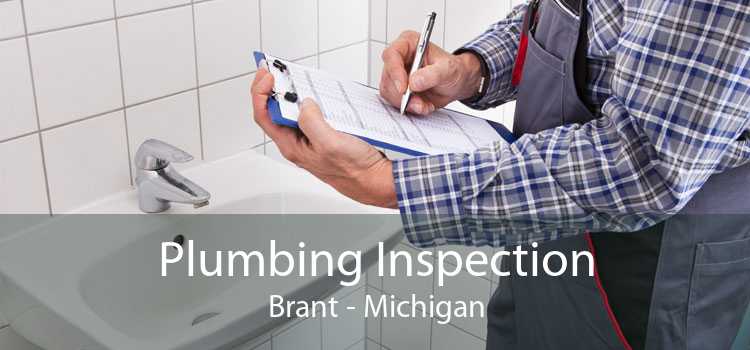 Plumbing Inspection Brant - Michigan