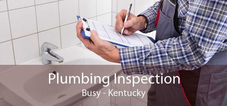 Plumbing Inspection Busy - Kentucky