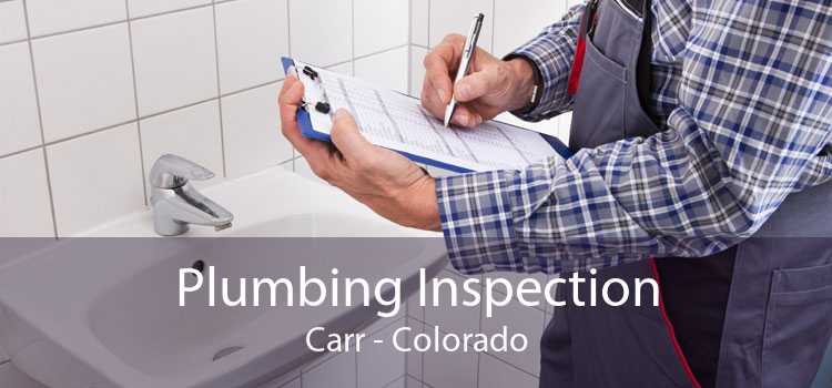 Plumbing Inspection Carr - Colorado