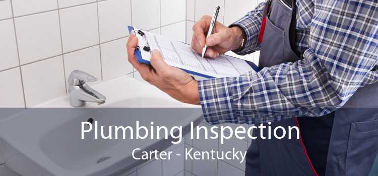 Plumbing Inspection Carter - Kentucky