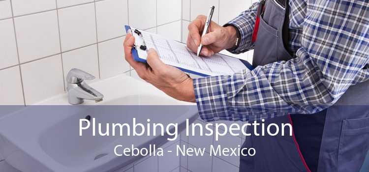 Plumbing Inspection Cebolla - New Mexico