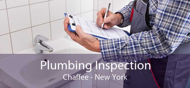 Plumbing Inspection Chaffee - New York