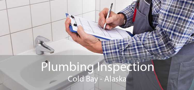 Plumbing Inspection Cold Bay - Alaska