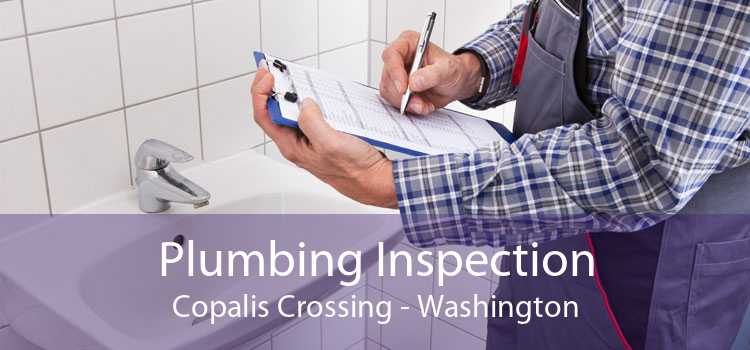 Plumbing Inspection Copalis Crossing - Washington