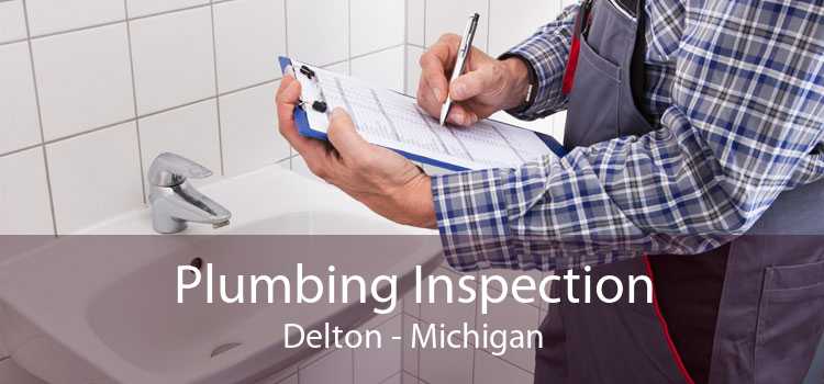 Plumbing Inspection Delton - Michigan