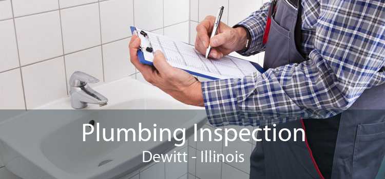 Plumbing Inspection Dewitt - Illinois