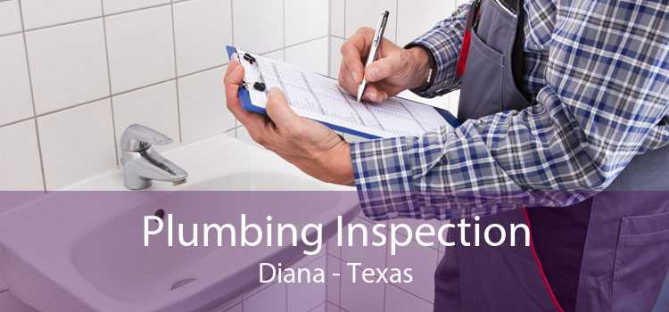 Plumbing Inspection Diana - Texas