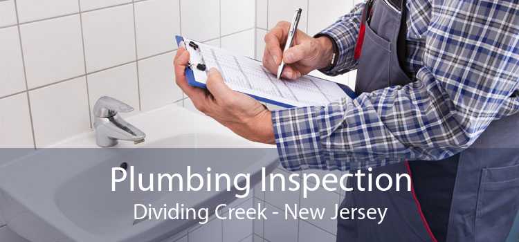 Plumbing Inspection Dividing Creek - New Jersey