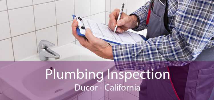 Plumbing Inspection Ducor - California