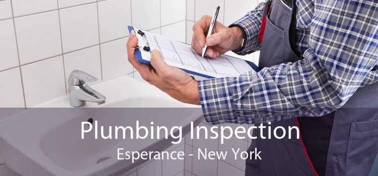 Plumbing Inspection Esperance - New York