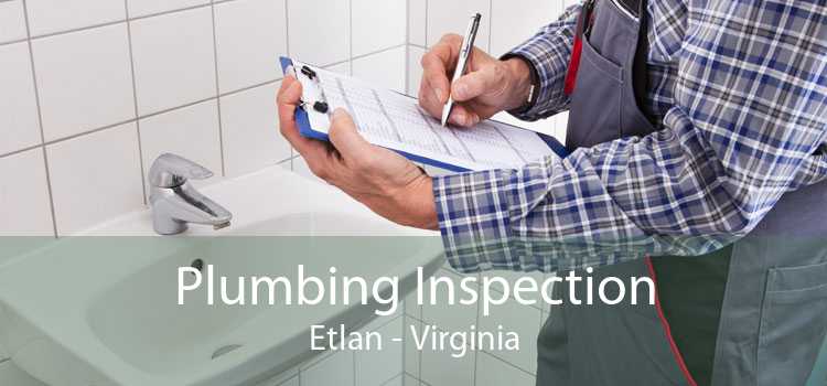 Plumbing Inspection Etlan - Virginia