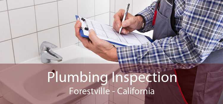 Plumbing Inspection Forestville - California