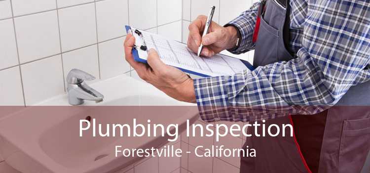 Plumbing Inspection Forestville - California