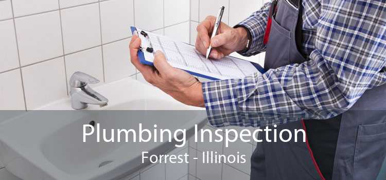 Plumbing Inspection Forrest - Illinois