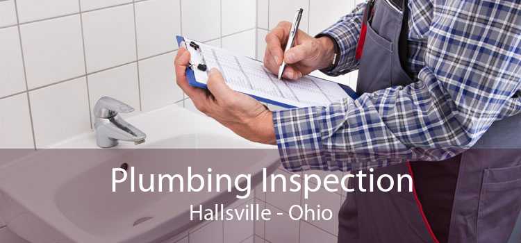 Plumbing Inspection Hallsville - Ohio