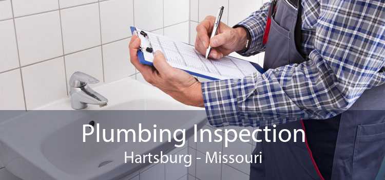Plumbing Inspection Hartsburg - Missouri