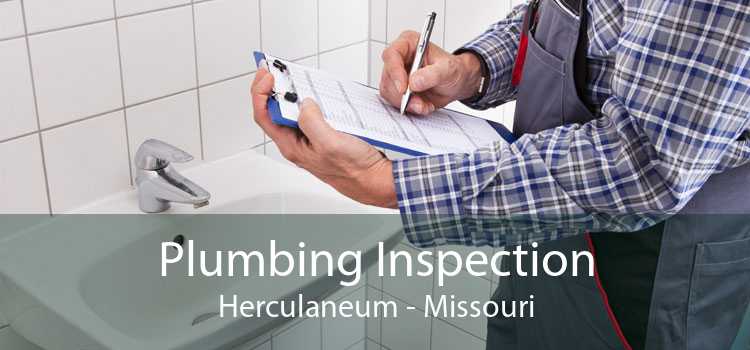 Plumbing Inspection Herculaneum - Missouri