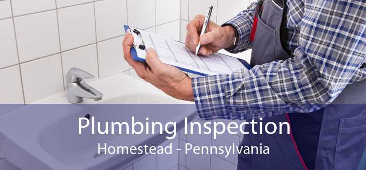 Plumbing Inspection Homestead - Pennsylvania