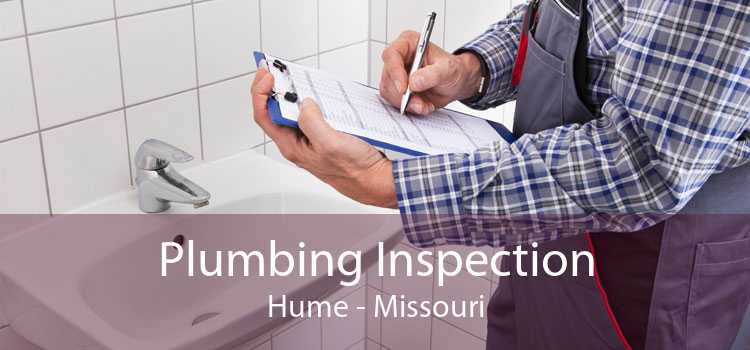 Plumbing Inspection Hume - Missouri