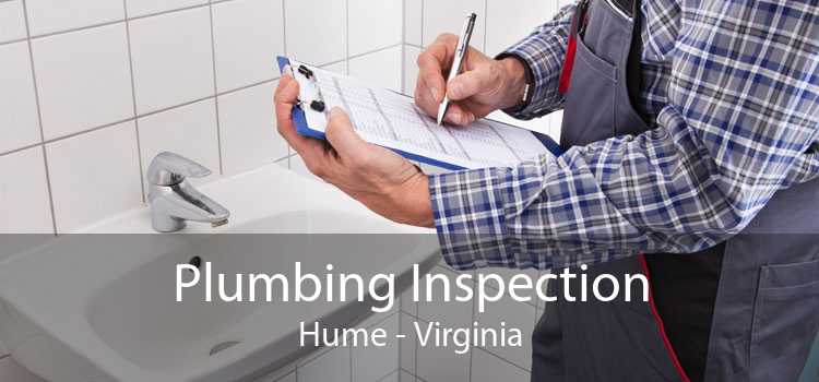 Plumbing Inspection Hume - Virginia