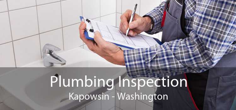 Plumbing Inspection Kapowsin - Washington